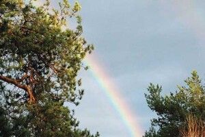 Сльози за владикою і веселка у безхмарному небі