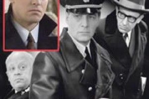 СТАРОМУ ШТІРЛІЦУ НЕ СПОДОБАВСЯ НОВИЙ