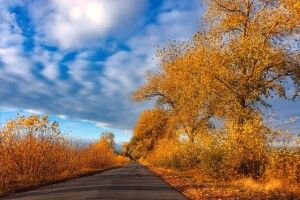 Прогноз погоди на Волині на найближчі дні