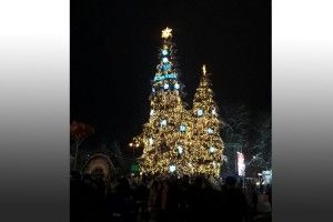 Засяяла головна ялинка міста! (Відео)