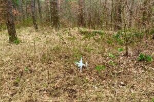 У Яворівському районі на Львівщині збили підозрілий дрон (Фото)