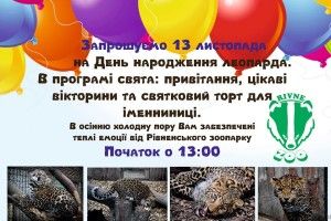 Допоможи рівненській леопардисі задмухати свічки на святковому торті