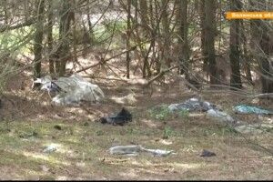 Гектар лісу біля Рожищ засипали сміттям
