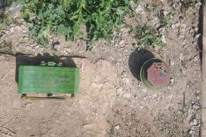На автодорозі «Маріуполь-Сартана» вилучили протипіхотну міну російського виробництва