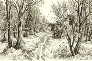 ПЕРЕДЗИМ’Я