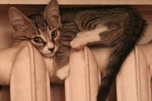 У Луцьку в шести будинках припинили теплопостачання