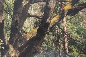 У Маневицькому районі відбулась презентація книги "Маневиччина: маловідомі факти"