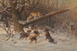 У Дубенському районі вбиватимуть хижаків, щоб подолати сказ