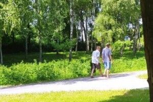 На Волині двоє чоловіків вкрали в парку деревце 