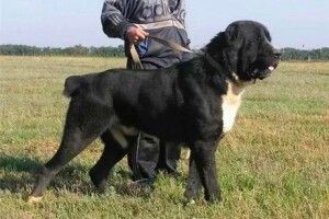 Потопельниця з Волині, серце якої зупинялося на 7 хвилин, розповіла як все було