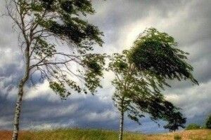 На День Конституції град та шквали. А як на Волині