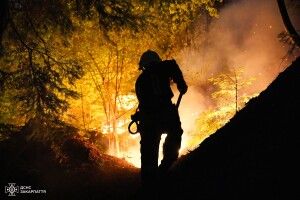 У Карпатах сотні рятувальників гасять масштабну пожежу: вогонь охопив 75 гектарів (Фото) 