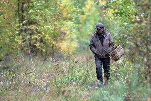Селяни пішли по гриби, а знайшли вибухівку (Фото)
