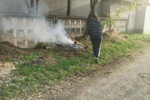 Оштрафували лучанку, яка палила сміття біля будинку (Фото)