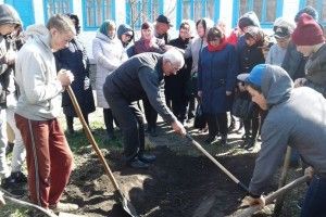 У Соколі вчили робити грядки «з Розумом»