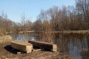 У нацпарку на Волині підбили підсумки «полювання» на браконьєрів