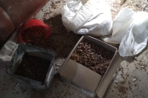 На Волині виявили підпільний цех з обробки бурштину