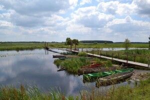 Територію Національного природного парку «Прип’ять – Стохід» буде розширено