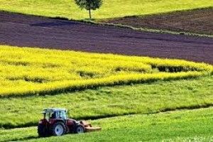 Відкриття ринку землі надасть потужний імпульс сільському господарству України