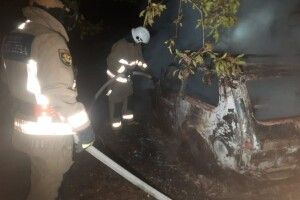 На Волині через несправність електричної системи вщент згорів легковик