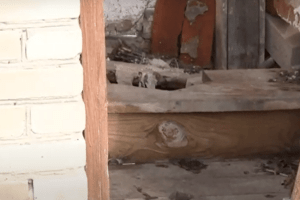 ХХІ століття? У волинському селі Будинок культури і ФАП є, а нормальної громадської вбиральні нема