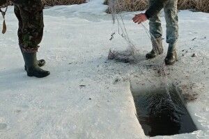 На водоймі Луцького району спіймали рибалок-браконьєрів з щуками та окунями (Фото)