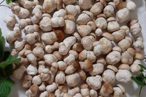 Рівнянка озброїлася ножем і влаштувала грандіозне полювання на «білих» (Фото)