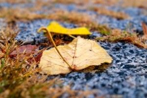 На Волині завтра оголосили другий рівень небезпечності