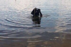 На Рівненщині з озера дістали тіло чоловіка