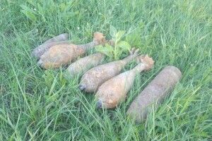 У трьох волинських селах знайшли боєприпаси