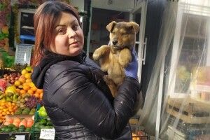 На Північному ринку в Луцьку знайшли маленьку блакитнооку дівчинку (фото)