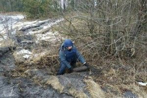 У сарненських лісах знайшли артилерійський снаряд (фото)