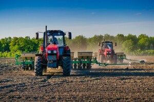 На Волині стартувала посівна (Відео)