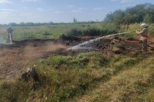 На Волині гасили торф'яну пожежу