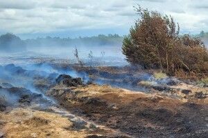 На Волині продовжує горіти торф: рятувальники працюють безперервно