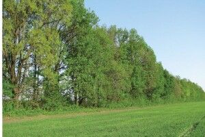 На Волині в міської ради забрали 385 гектарів землі 