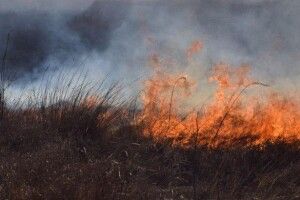 На Волині очікують небезпечну погодну ситуацію