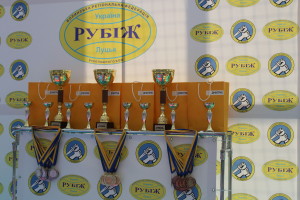 Майстри рукопашного бою позмагалися в Луцьку (Фото)