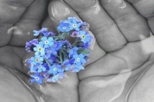 Запах незабудок  під палаючим небом (Романтична історія в час війни)