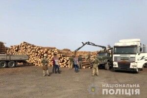 На деревообробному підприємстві Волині під час обшуку вилучили 1200 метрів кубічних лісу
