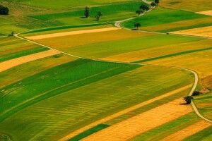 На Волині особливо цінні землі вартістю близько півмільярда гривень повернули державі