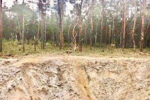 Ракетна атака по Рівненщині завдала довкіллю збитків на понад 2 мільйони гривень