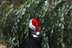 У двох містах на Волині провели рейд «Ялинка»