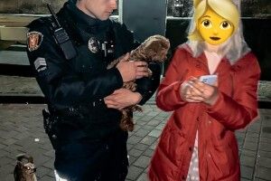 Волинські патрульні повернули чотирилапого мандрівника господарям 