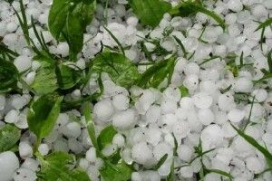 Москвичів добряче побив град