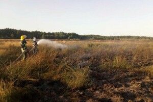 На Волині горіло більше 2 гектарів трави та чагарників