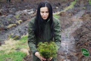 Лісівники Волині розпочали весняне садіння лісу