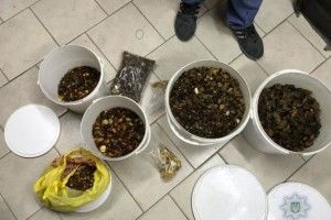 У Рівненській області поліція вилучила у місцевого жителя 25 кг бурштину