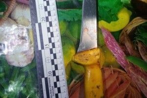 У Рівному молода жінка встромила ножа матері в груди