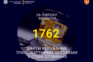 На Рівненщині п'янота найчастіше сідає за кермо в Сарненському районі, а найрідше – в Демидівському